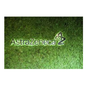 latest-news-card-1