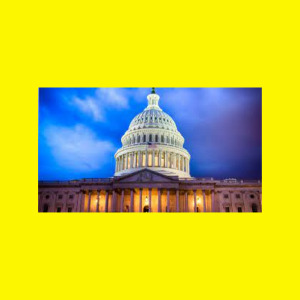latest-news